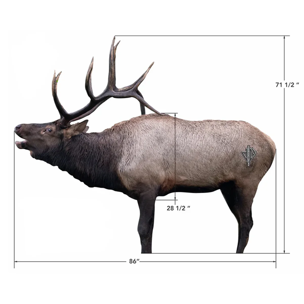 Deadnuts Outdoors 2D Bull Elk Broadside Target - Image 4