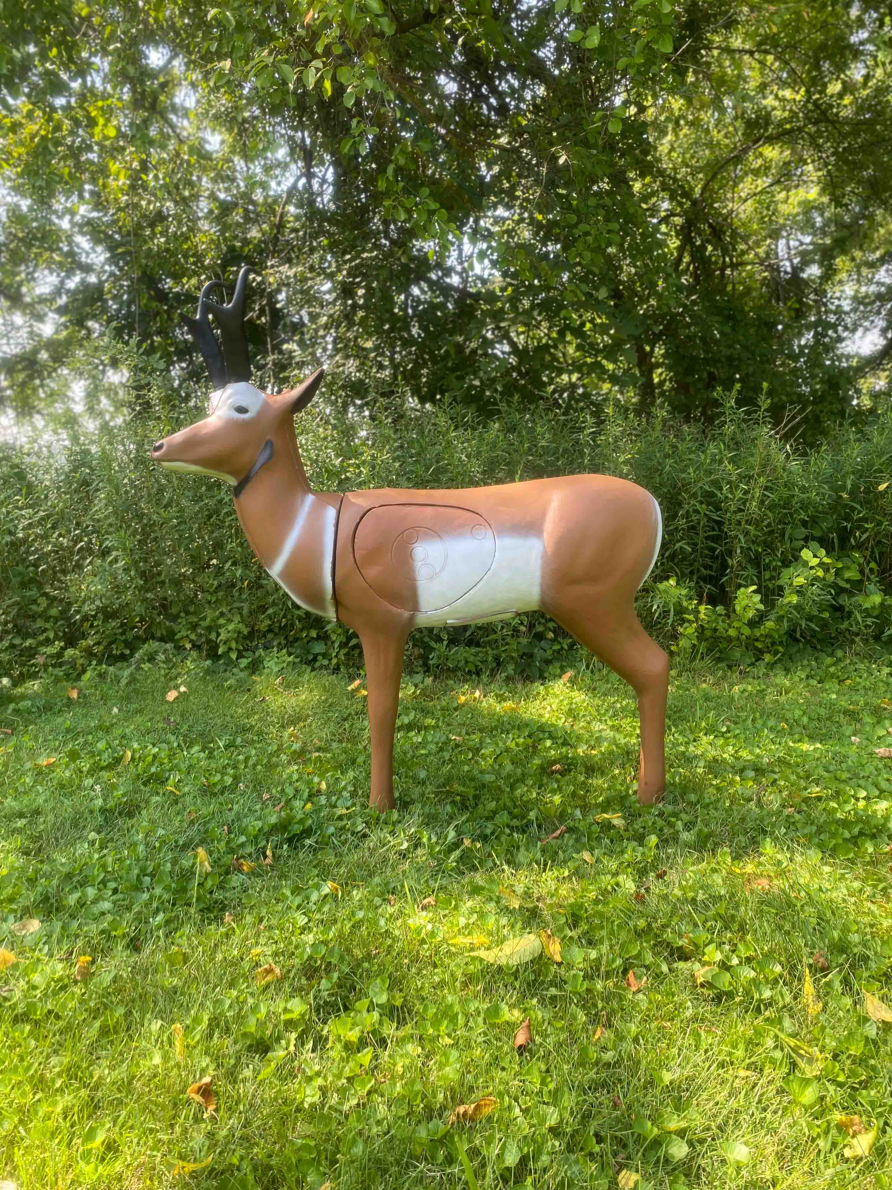 BIGshot Archery Real Wild 3D Pronghorn Antelope Archery Target - Image 3