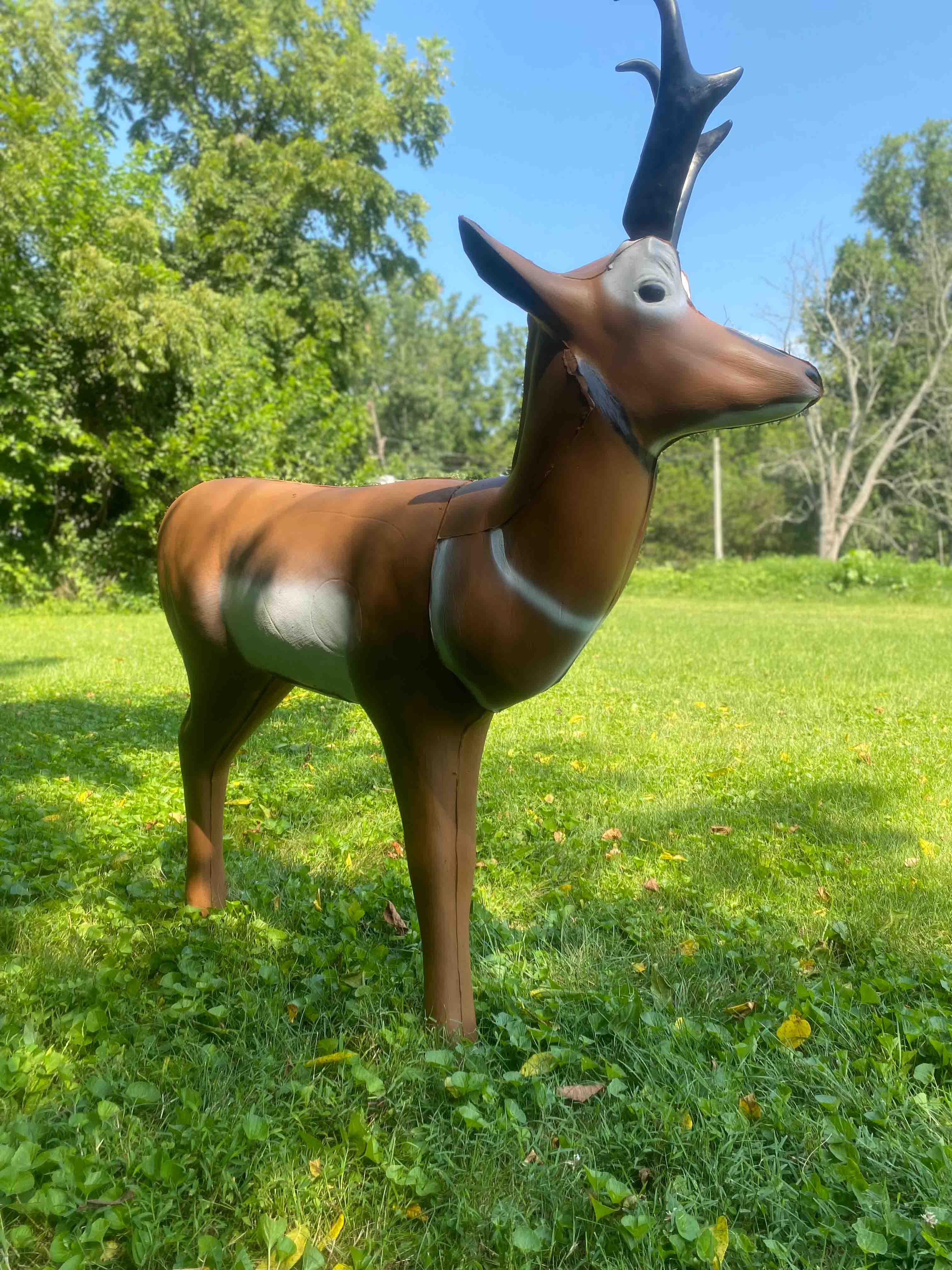 BIGshot Archery Real Wild 3D Pronghorn Antelope Archery Target - Image 5